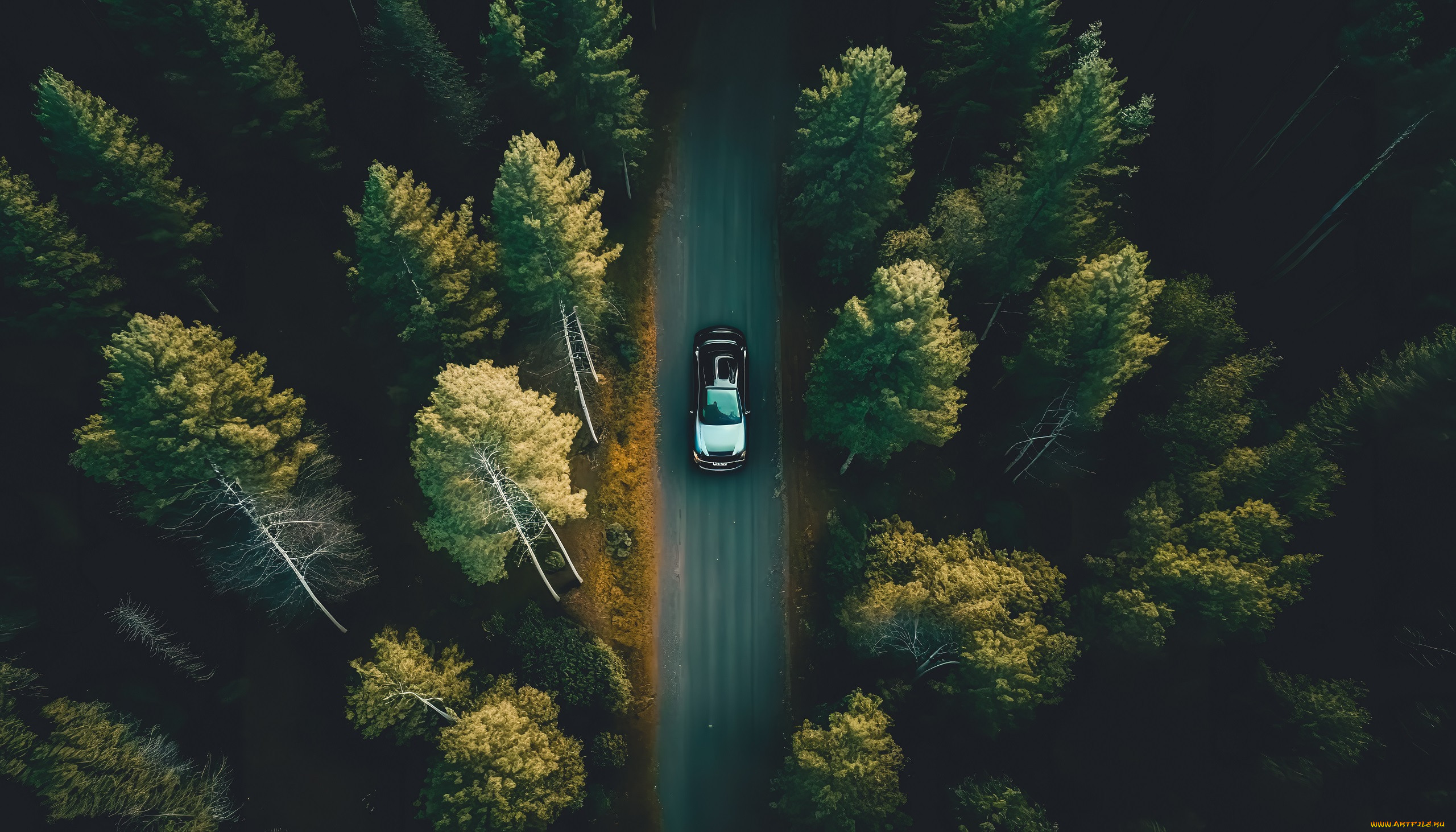 ������, ������������ ������, ������